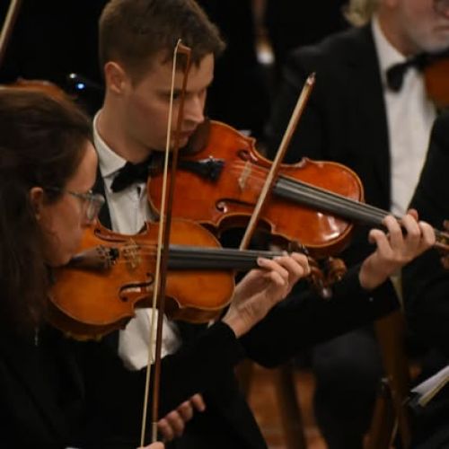 Concerto Bellezza e Armonia 05